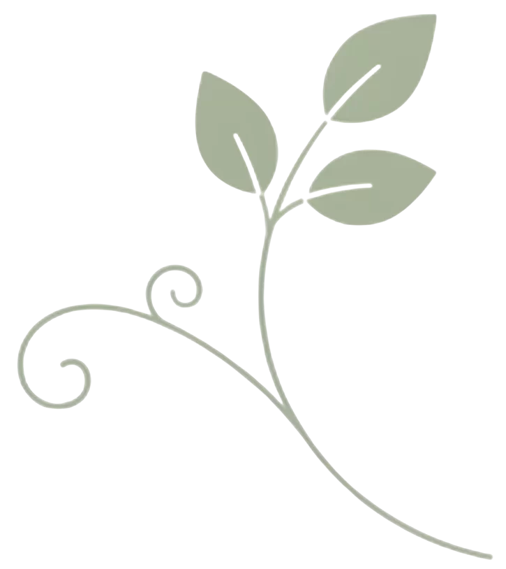 vinca rose icon