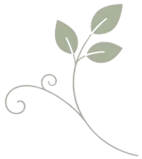 Vinca Rosea theme